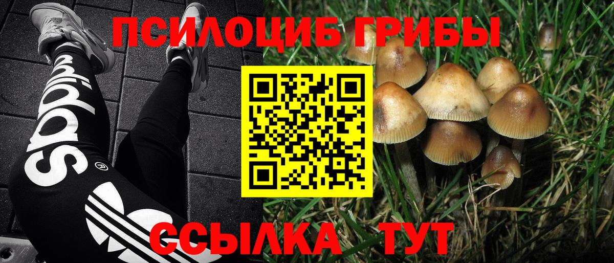 Улан-Удэ  Псилоцибиновые грибы Magic Shrooms  купить наркоту  Вход с VPN 